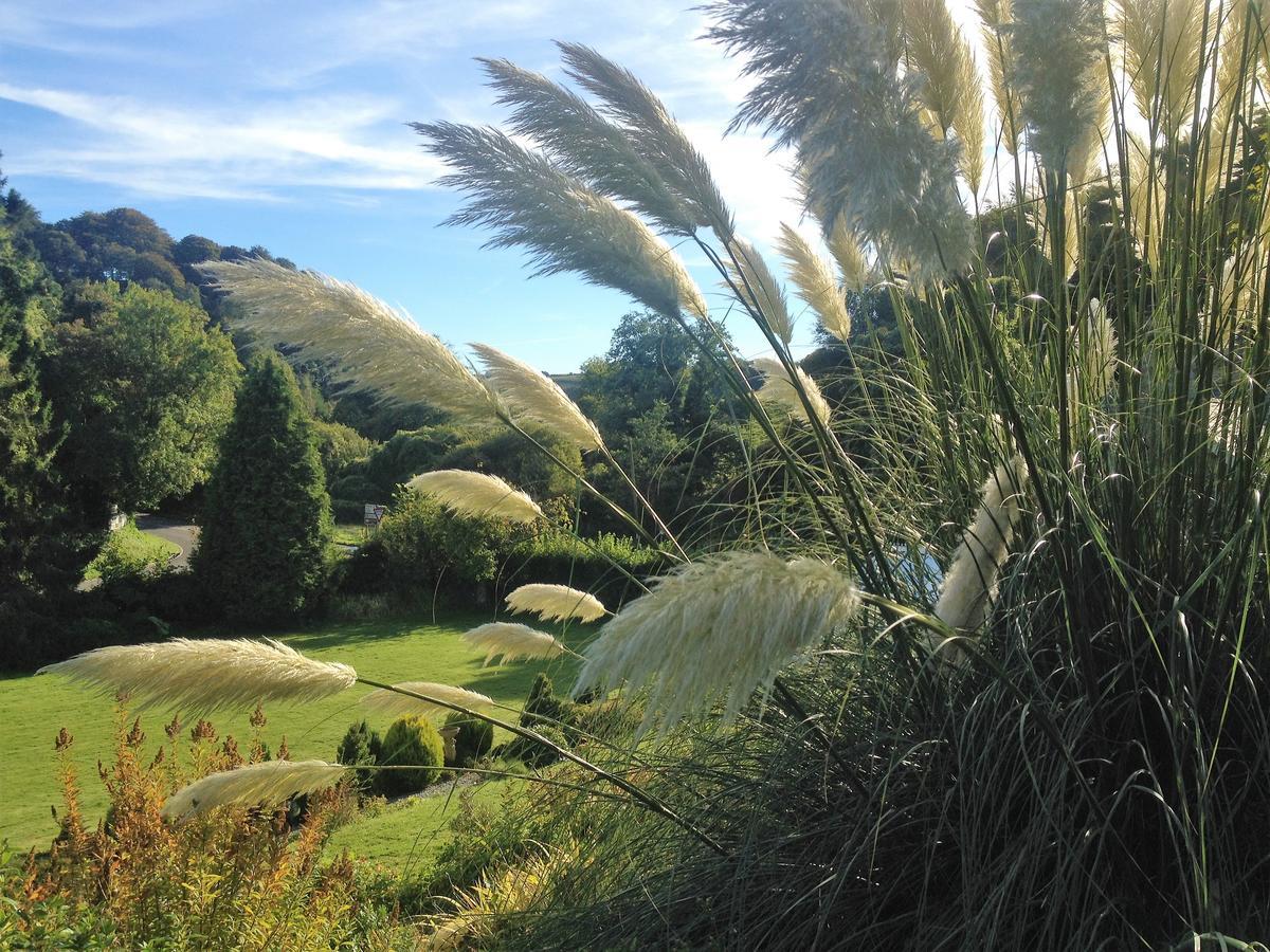 Polraen Country House Hotel Looe Exterior foto
