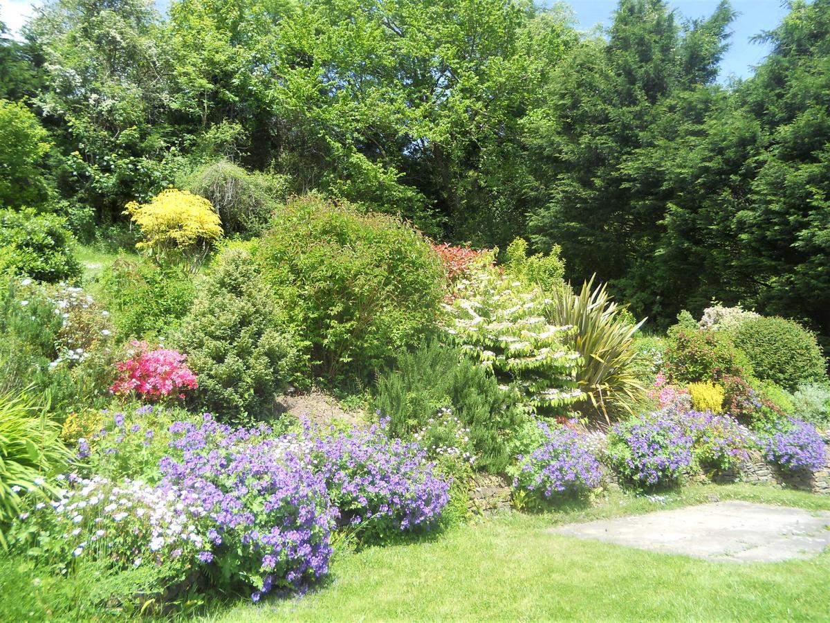 Polraen Country House Hotel Looe Exterior foto